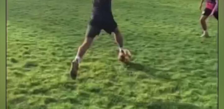 Soccer #soccer #defense #stiker #coach #fyp #foryou #skills #game #tiktok #balls #soccerballs|Pinterest